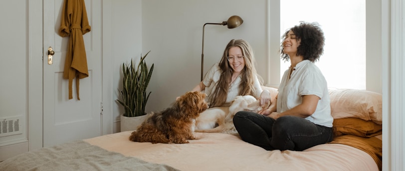 The Role of Diet in Pet Grooming: Nourishing Your Pet's Coat and Skin Health